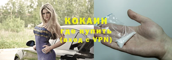 сатива Бородино