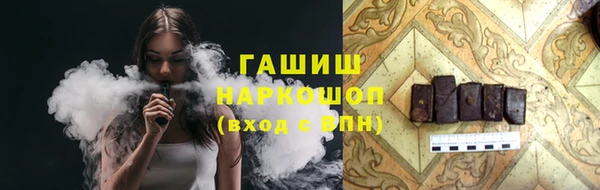 сатива Бородино