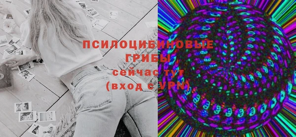 сатива Бородино