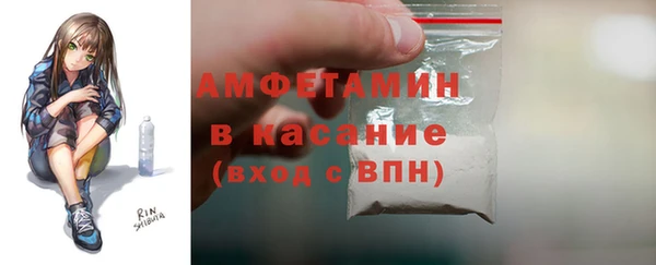 сатива Бородино