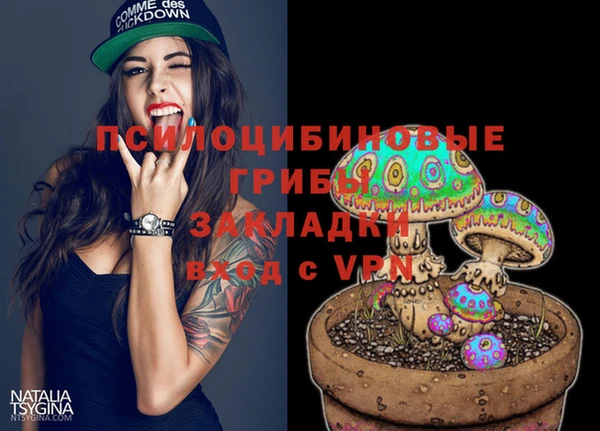 сатива Бородино