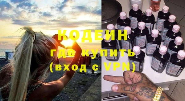 сатива Бородино
