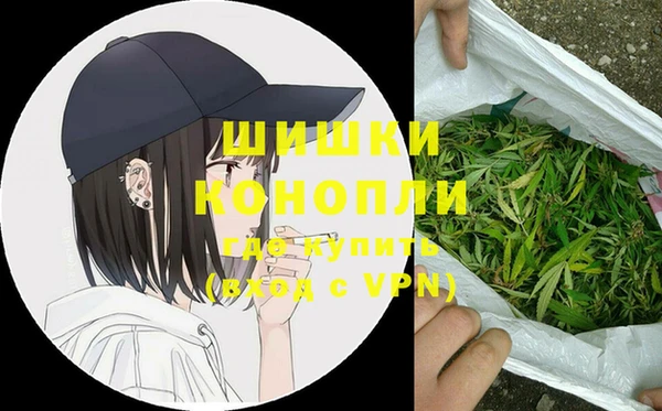 сатива Бородино