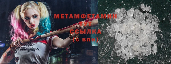 сатива Бородино