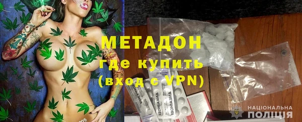 сатива Бородино