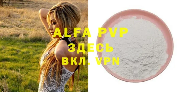 сатива Бородино
