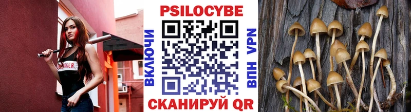 Псилоцибиновые грибы мухоморы  сколько стоит  Новопавловск 